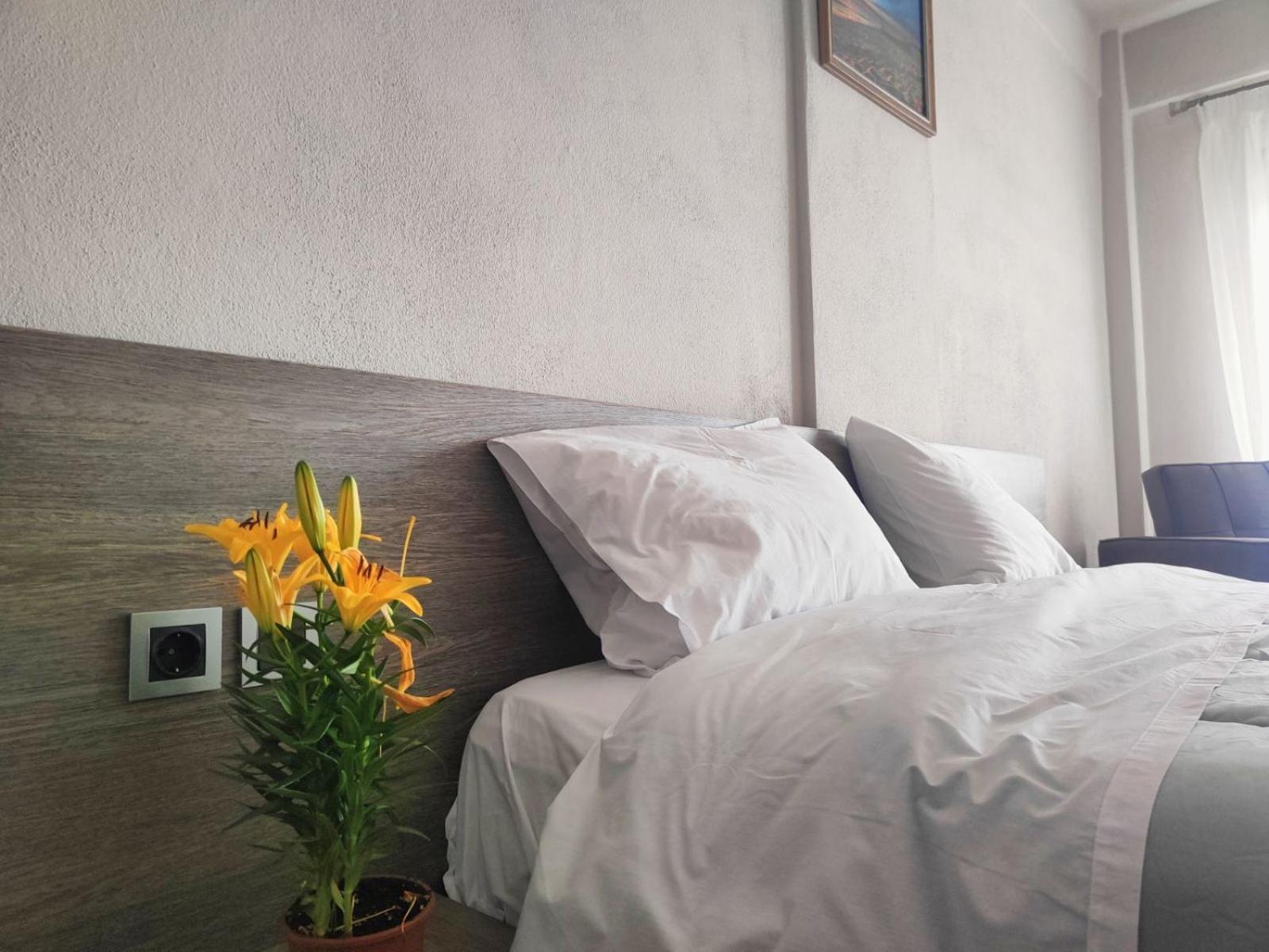 Alkyon Holiday home